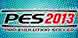 PES 2013 cd key best prices