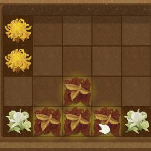 24 Solar Terms Herbs