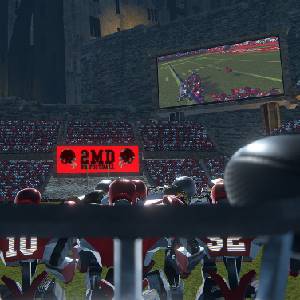 2MD VR Football Evolution - Quarterback