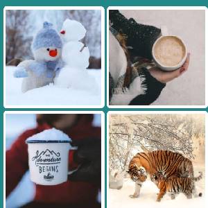 4 Pics 1 Word Quiz Game - Snow