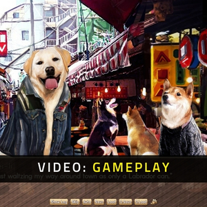 A Summer with the Shiba Inu Gameplay Video