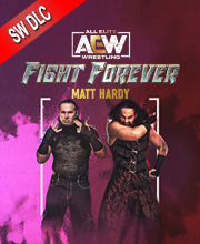 AEW Fight Forever Matt Hardy Switch