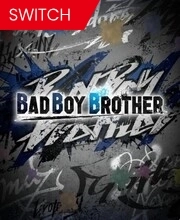 BAD BOY BROTHER Switch