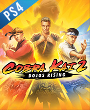 Cobra Kai 2 Dojos Rising