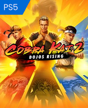 Cobra Kai 2 Dojos Rising Playstation 5