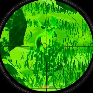 1st person hunting simulation