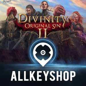 Divinity: Original Sin 2 Steam Account