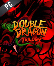 Double Dragon Trilogy Pc