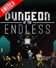 Dungeon of the Endless Switch