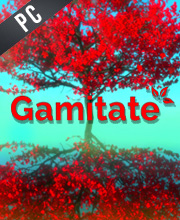 Gamitate The Meditation Game