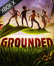 Buy Grounded Xbox series Account Compare Prices