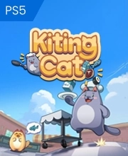 Kiting Cat Playstation 5