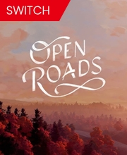 Open Roads Switch