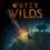 Outer Wilds Main Game & Collections on Sale – Get More Than 40% Off