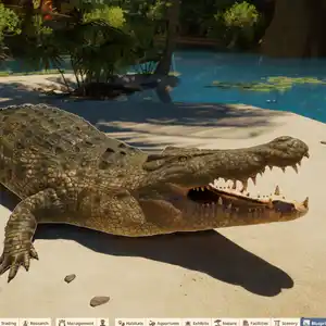 Planet Zoo 2 - Saltwater Crocodile