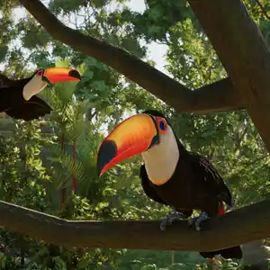 Planet Zoo 2 - Toco Toucans