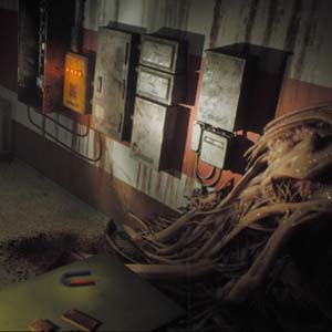 Post Trauma Flesh Mass