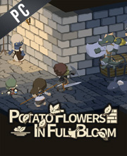 Potato Flowers in Full Bloom