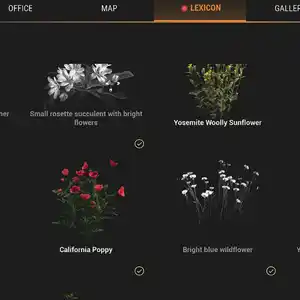 Ranger’s Path National Park Simulator - Lexicon