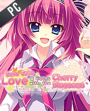 Saku Saku Love Blooms with the Cherry Blossoms Pc