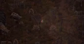 Scavland Perfectly Translates STALKER's Brutal Survival Mechanics Into a Top-Down RPG