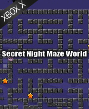 Secret Night Maze World