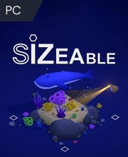 Sizeable Pc