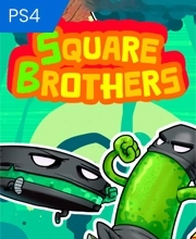 Square Brothers Playstation 4