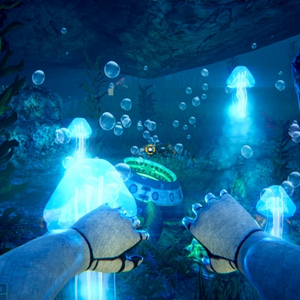 Stardiver 2024 Jellyfish