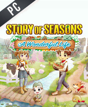 Story of Seasons A Wonderful Life