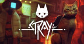Stray: Best Key Price Spotted on Major Platforms with Price Tracker