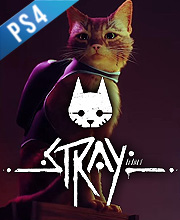 Stray PS4  PS5 - Digital World PSN