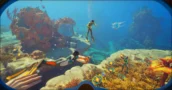 Subnautica 2 Early Access Costs Less on Authorized Key Marketplaces