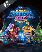Super Dungeon Bros Pc