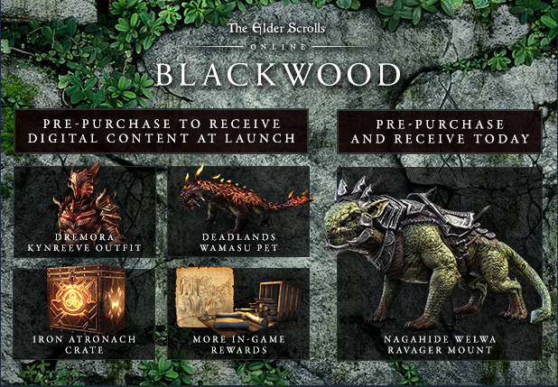 The Elder Scrolls Online: Blackwood Blackwood Pre Order