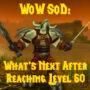 WoW SoD: What’s Next After Reaching Level 60?