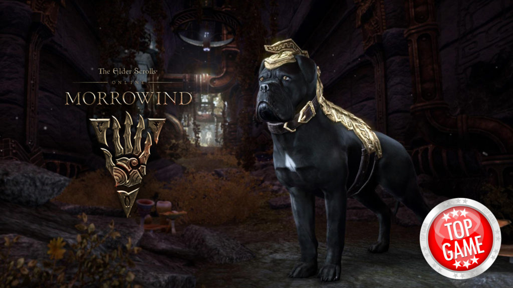 eso how to get to morrowind