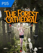 The Forest Cathedral Playstation 5