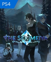 The Sekimeiya Spun Glass Playstation 4