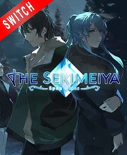 The Sekimeiya Spun Glass Switch