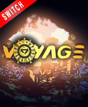 Voyage Switch