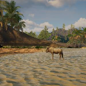 Age of Survival - Blue Wildebeest