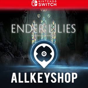ENDER LILIES: Quietus of the Knights Nintendo Switch — buy online and track  price history — NT Deals USA