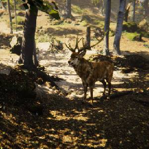 Animal Simulator - Red Deer