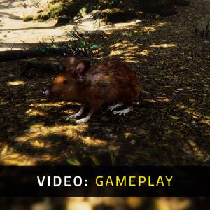 Animal Simulator - Gameplay