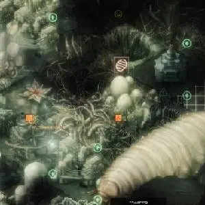 Anoxia Station - Convector