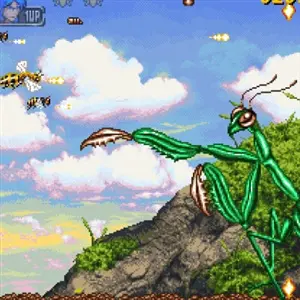 Apidya' Special - Giant Praying Mantis