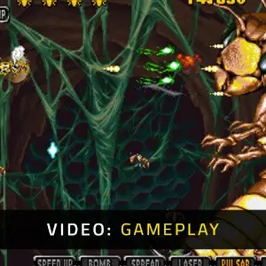 Apidya' Special - Gameplay Video