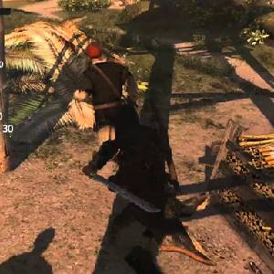 Assassins Creed 4 Black Flag Freedom Cry - Adéwalé and Maroons