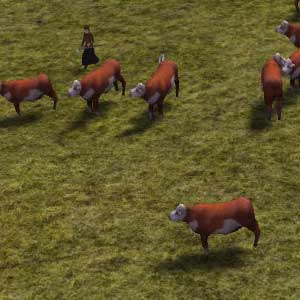 Banished - Cows